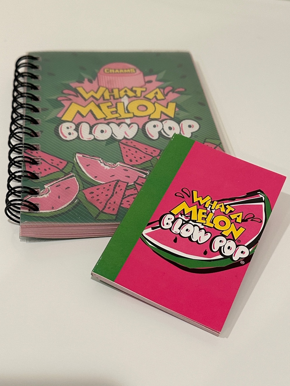 Retro Early 2000s What A Melon Blow Pop Notebooks - Pink & Green